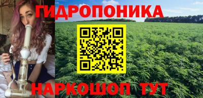 твердый Новокубанск