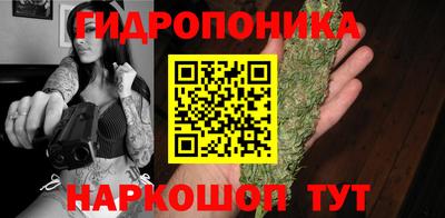 ГАЛЛЮЦИНОГЕННЫЕ ГРИБЫ Новозыбков